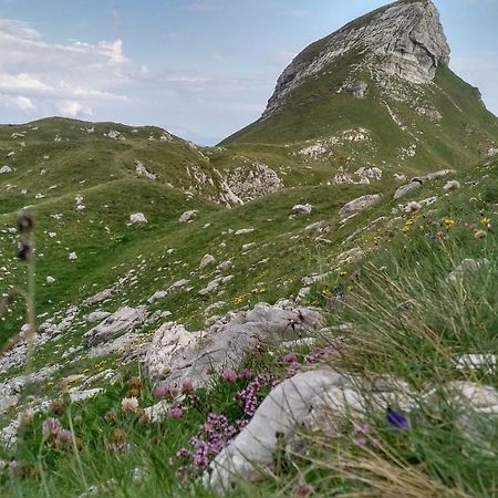 Apartments Durmitor Žabljak Extérieur photo