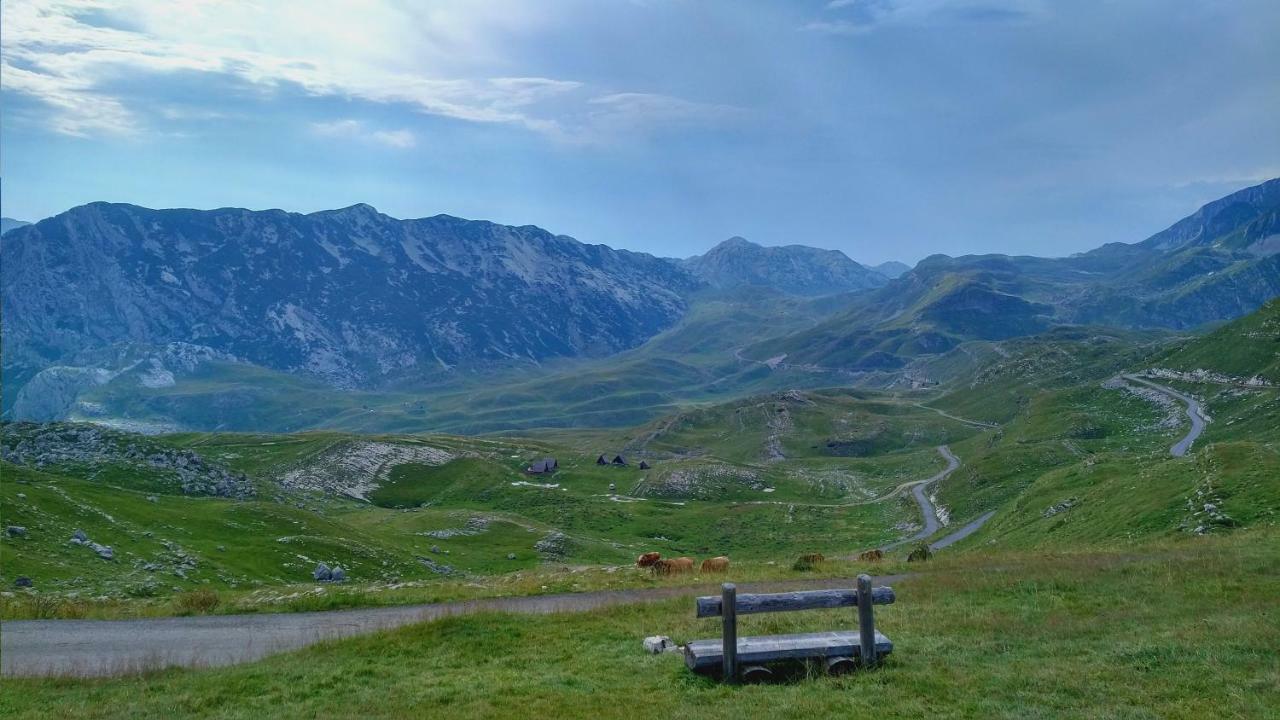Apartments Durmitor Žabljak Extérieur photo